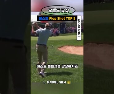 흔들리지 않는 편안함 플롭샷(flop shot) 베스트 top 5!! #golf