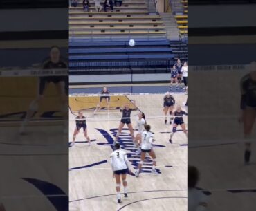 #volleyball  #fyp #waitforit #womensvolleyball