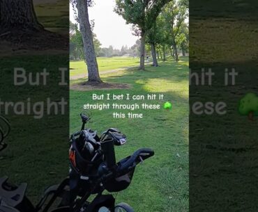 Irrational Condidence on the Golf Course #golf #think #brain #shorts #yourbrainatwork #fyp