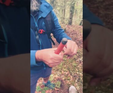 Mon détecteur de métaux fait Une belle découverte #metaldetecting #metaldetector #treasuresearch