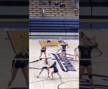 #volleyball  #fyp #waitforit #womensvolleyball