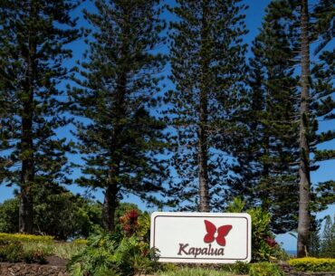 Kapalua golf course without irrigation for 7 days under worsening water restrictions