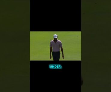 Watch Patrick Cantlay's Incredible Approach Shot!