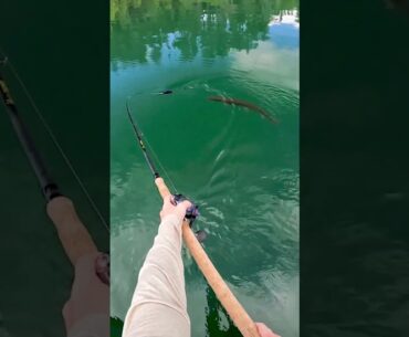 Clearest Lake in The World! #fishing #musky #figure8