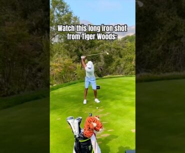 Vintage Tiger Woods Ball-Striking 🔥