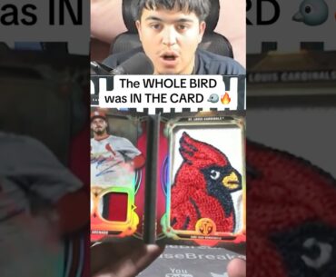 WHOLE BIRD inside a pack of cards?! 🤯🐦 Incredible baseball card pull! 👀