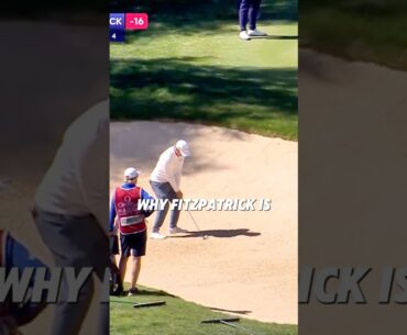Matt Fitzpatrick’s INSANE Bunker Shot! 🔥 Ryder Cup 2025 Star? 🏌🏼‍♂️
