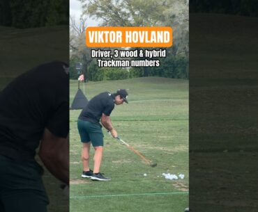 Viktor Hovland driver, 3 wood and hybrid numbers 🟧