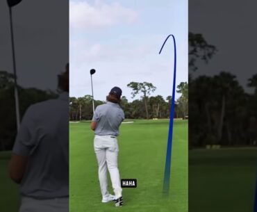 Tiger talks fairway woods with Scottie and Tommy! #fyp #golf #tigerwoods #scottiescheffler