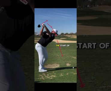 SWING ANALYSIS of Sung-Jae Im 🏆