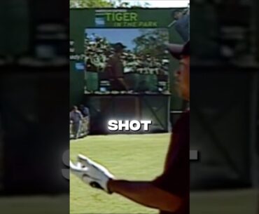 Tiger Woods KEY to Golf!? #golf #shorts