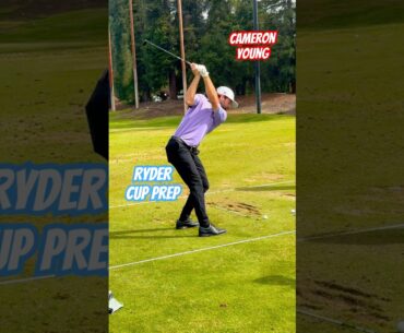 RYDER CUP  Cameron Young Pure Swing! #golf #golfer #video