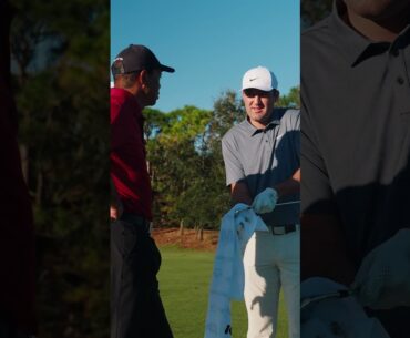 Tiger and Scottie—two ball strikers talking shop.