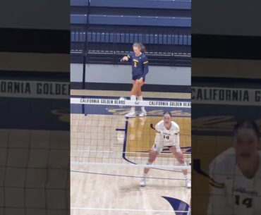 #volleyball  #fyp #waitforit #womensvolleyball