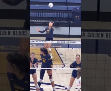 #volleyball  #fyp #waitforit #womensvolleyball