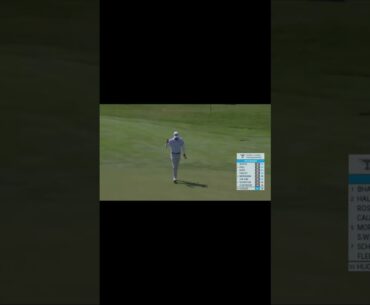 Catch the Highlights from the FedEx St. Jude Championship!