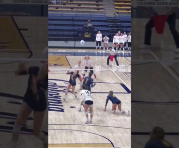 #volleyball  #fyp #waitforit #womensvolleyball