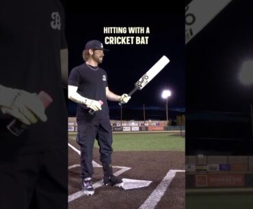 Can we hit a homer with a CRICKET BAT?