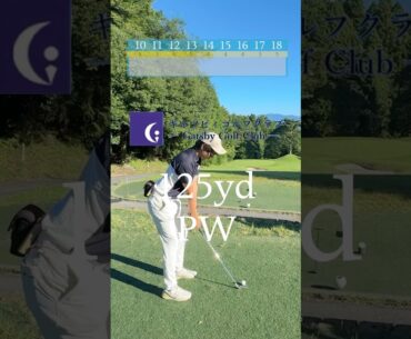 ベスト63のバーディー集3 #ゴルフ #ラウンド動画 #ゴルフスイング #golf #golfswing