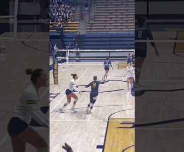 #volleyball  #fyp #waitforit #womensvolleyball