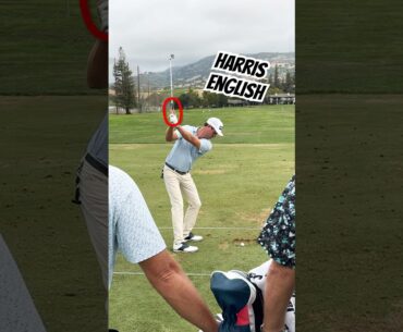 HARRIS ENGLISH RYDER 🏆 CUP  Pure Rhythym #golf #video #shorts