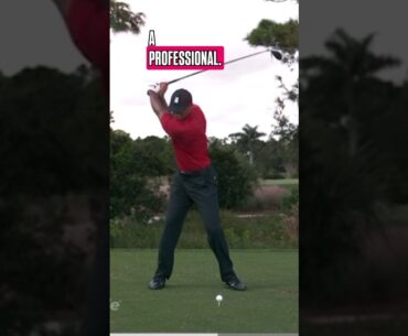 Did you see that? Learn to release the club like a pro!