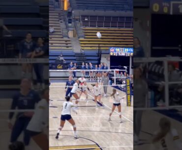 #volleyball  #fyp #waitforit #womensvolleyball