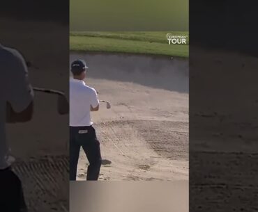 Have You Ever Had THIS Happen on the Golf Course? ⛳️