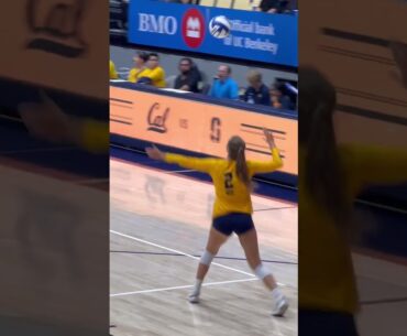 #volleyball  #fyp #waitforit #womensvolleyball