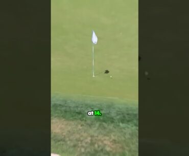 ALBATROSS!!?⛳️✨