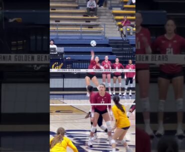 #volleyball  #fyp #waitforit #womensvolleyball