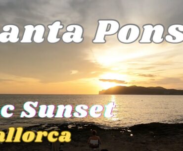 Santa Ponsa, I find a DINOSAUR- honestly!! #santaponsa