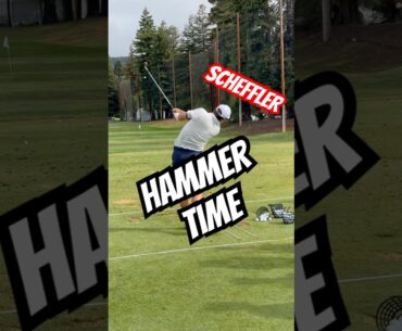 SCOTTIE SCHEFFLER WINNER IN NAPA LEADER ON RYDER 🏆TEAM #golf #golftips #shorts