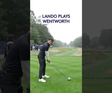 Lando Norris 4 hole in 40 seconds (ish) 👌
