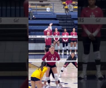 #volleyball  #fyp #waitforit #womensvolleyball