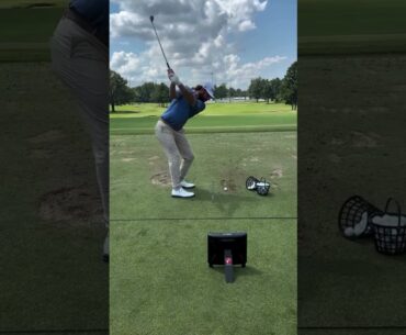 Cameron Young at the FedEx St. Jude Championship