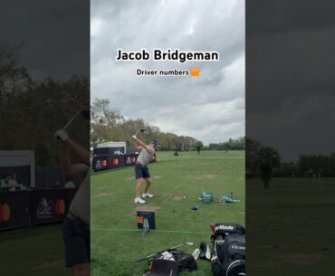 Jacob Bridgeman Driver Numbers 🟧