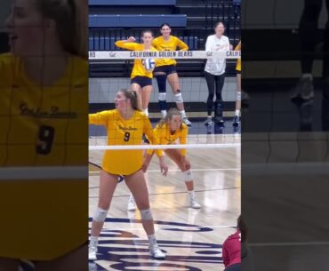 #volleyball  #fyp #waitforit #womensvolleyball