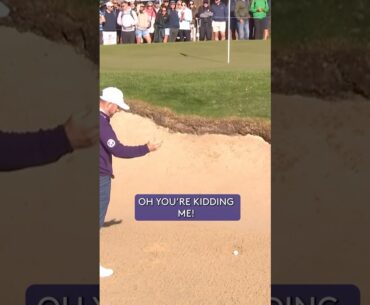 Are you KIDDING?! 😡