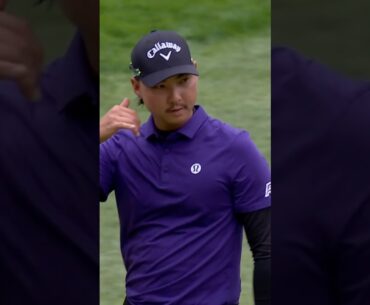 Min Woo Lee’s PERFECT chip in 👨‍🍳