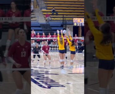 #volleyball  #fyp #waitforit #womensvolleyball