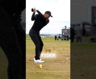 Tiger Woods RELENTLESS Practise Routine!⛳🐯 #golf #tigerwoods