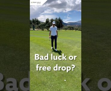 Golf Rules Tip | Embedded Ball #golf #rules #golfrules #rulesofgolf #golftips #golfswing #golfer