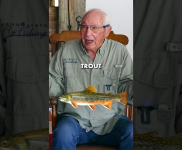 Brook Trout in Spring Creek?!? 🤯 #shorts