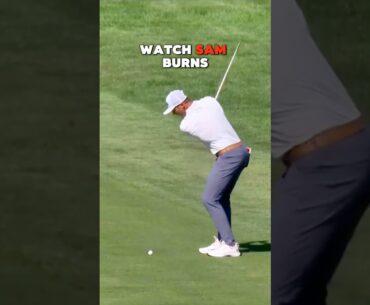 INSANE 117-Yard Eagle Hole-Out by Sam Burns on 18th Hole! Procore Championship Madness! 🏌🏼‍♂️💥