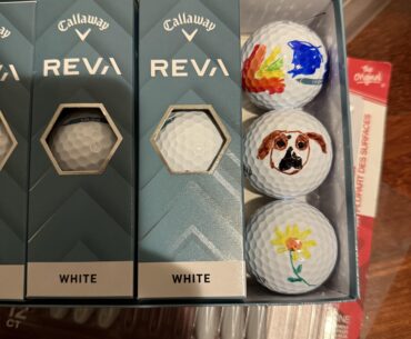 Gift for my wife who is learning golf, my son insisted on drawing on the present