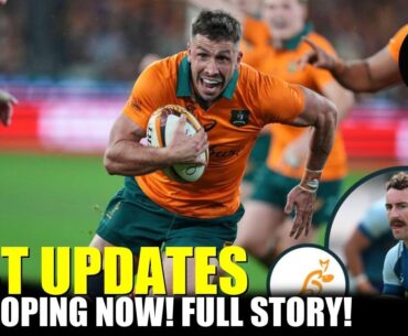 Wallabies Scrum-Half Jake Gordon Admits Doubts Despite Excited Return - ALL BLACKS NEWS TODAY