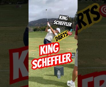 SCHEFFLER WINS IN NAPA! RANGE PREP RYDER 🏆 CUP #golf #video #shorts