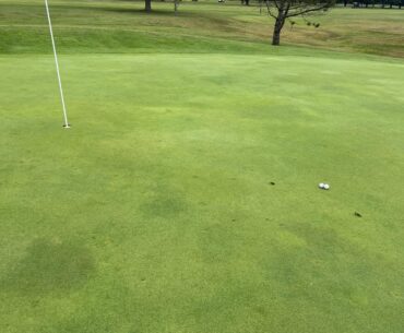 My golf scramble partner and I 160 yards tee shots on a par 3. What are the odds