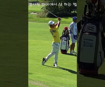 왼발이 낮은 경사에서도 정확한 '다운블로' 세컨 샷으로 나이스 온  #golf #골프 #골프스타 #아름다운골프장 #golfswing #골프채